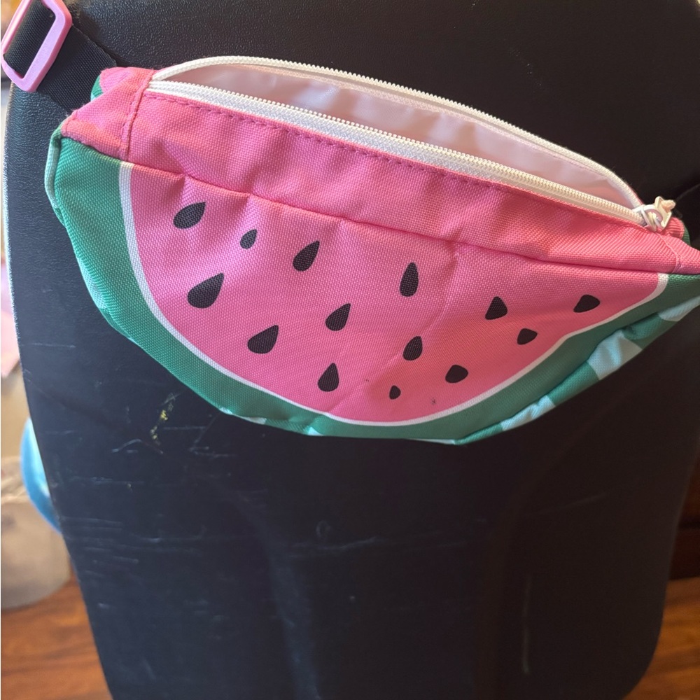 Watermelon Print Pink & Green Fanny Pack